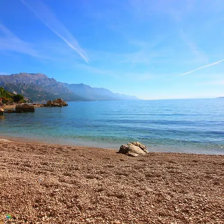 Vanessa * Marusici (Split-Dalmatia)