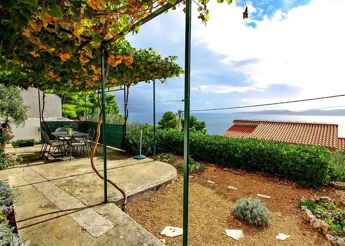 Vanessa * Marusici (Split-Dalmatia)